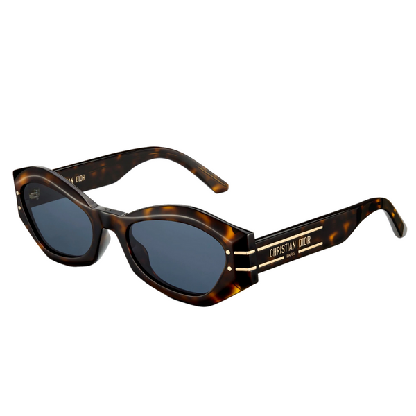 dior signature b1u 26a1 carey – SUNLUX